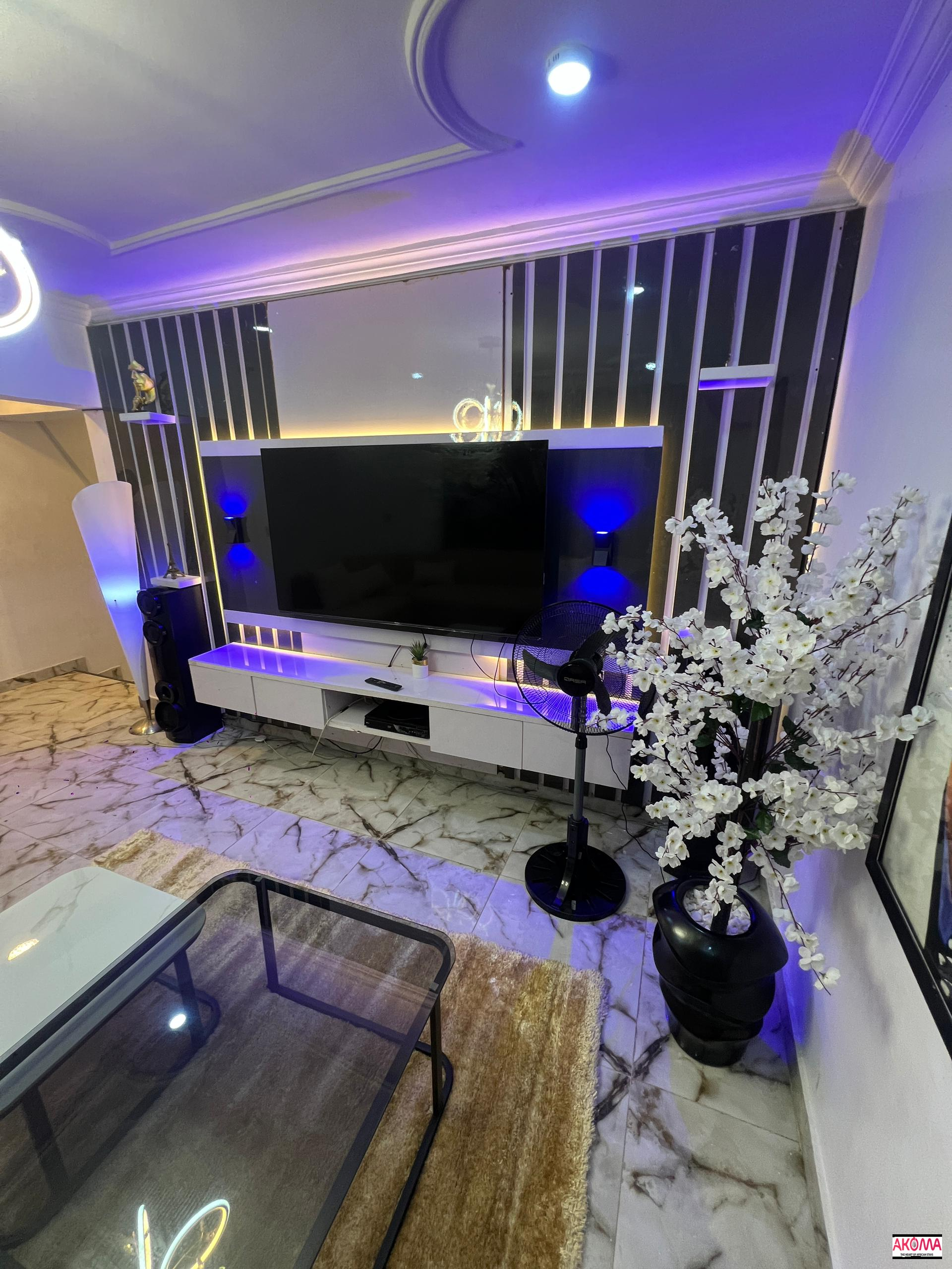 Nine 11 homes