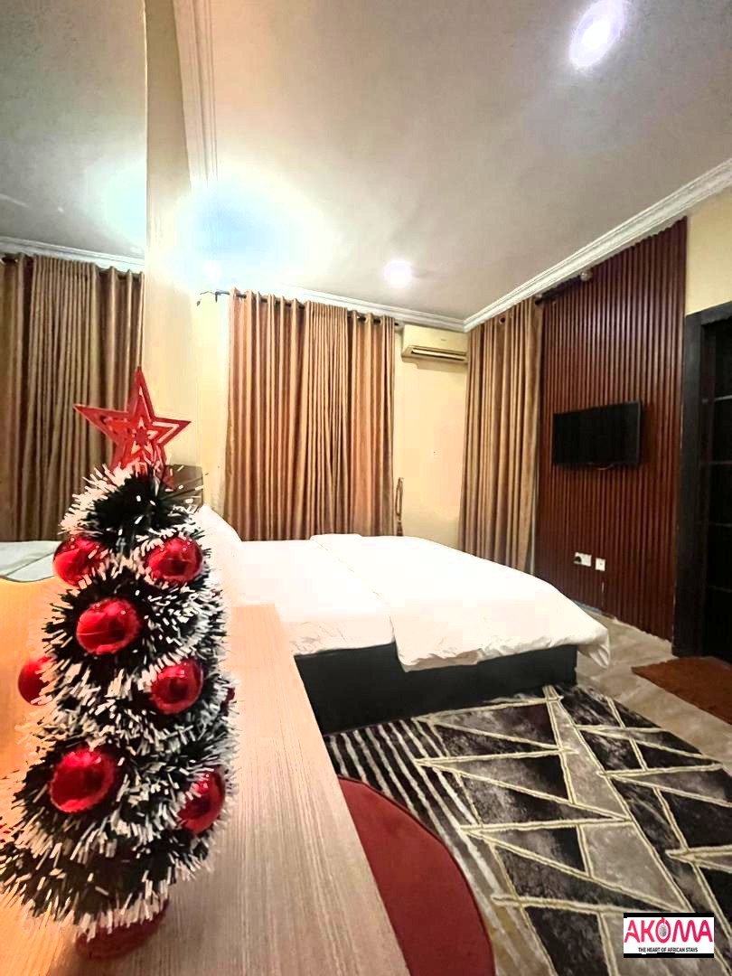 The Niche Place Nig Ltd